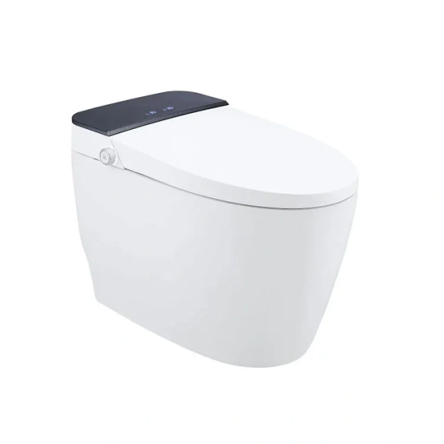 Luxury Professional Modern Bathroom Electric Bidet Sanitary Wc Toilet Bowl Automatic Intelligent Smart Toilet,Modern Bathroom Electric Wc Toilet Bowl Automatic Smart Toilet,Purithm