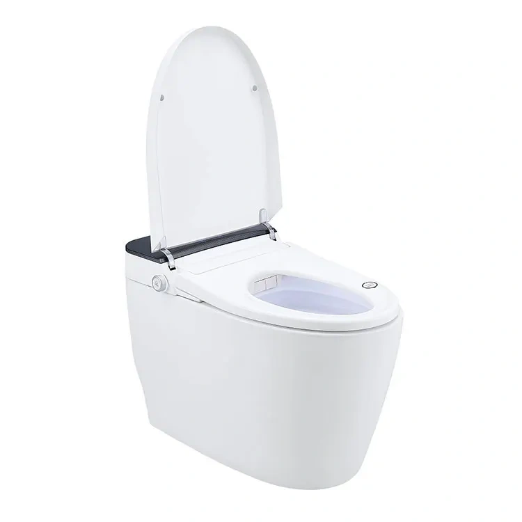Luxury Professional Modern Bathroom Electric Bidet Sanitary Wc Toilet Bowl Automatic Intelligent Smart Toilet,Modern Bathroom Electric Wc Toilet Bowl Automatic Smart Toilet,Purithm