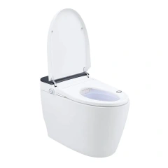 Luxury Professional Modern Bathroom Electric Bidet Sanitary Wc Toilet Bowl Automatic Intelligent Smart Toilet,Modern Bathroom Electric Wc Toilet Bowl Automatic Smart Toilet,Purithm