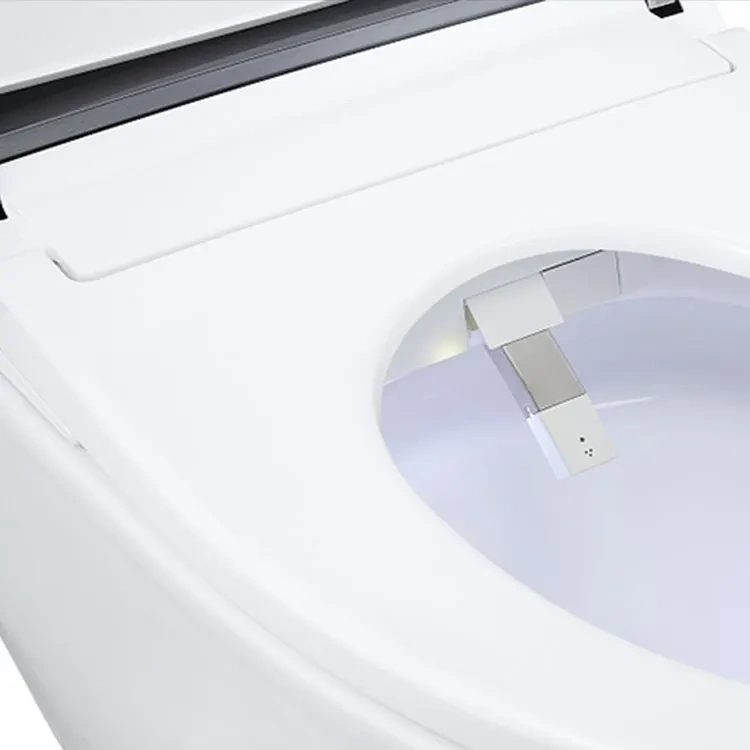 Luxury Professional Modern Bathroom Electric Bidet Sanitary Wc Toilet Bowl Automatic Intelligent Smart Toilet,Modern Bathroom Electric Wc Toilet Bowl Automatic Smart Toilet,Purithm