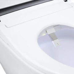 Luxury Professional Modern Bathroom Electric Bidet Sanitary Wc Toilet Bowl Automatic Intelligent Smart Toilet,Modern Bathroom Electric Wc Toilet Bowl Automatic Smart Toilet,Purithm