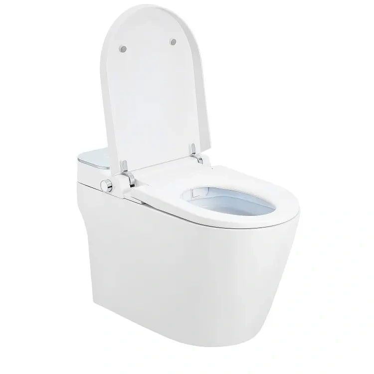 Electronic Automatic Bathroom Luxury Sanitary Toilet Smart One Piece Health Floor Smart Intelligent Wc Toilets Automatic,Smart Health Floor Smart Intelligent Wc Toilets Automatic toiilet,Purithm