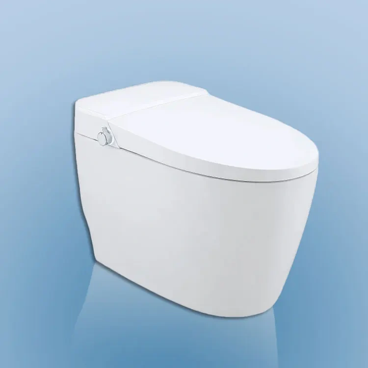 Modern Luxury Smart Toilet Remote Control White Japanese Smart Bidet WC  Intelligent Smart Wc Toilet Automatic,Modern Luxury Smart Toilet Remote Control White Japanese Smart Bidet WC  Intelligent Smart Wc Toilet Automatic,Purithm