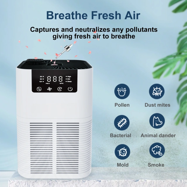 2025 Trend Home Desktop Portable Anion True H13 HEPA Air Cleaner Purifier With Aroma Diffuser and Air Quality Monitor,Portable True H13 HEPA Air Cleaner Purifier With Air Quality Monitor,Purithm