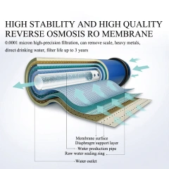Commercial RO Water Purifier System 400G 5-Stage Filtration RO Water Purifier Low Wastewater Ratio School Application,Commercial RO Water Purifier System,Purithm