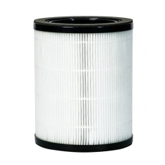 HEPA filter replacement
