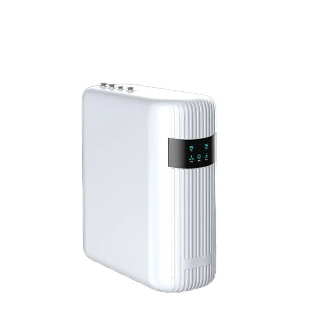 600G/800G AI Display Reverse Osmosis Water Filtration System Household Appliance TDS Display Value Water Purifier,RO Reverse Osmosis Direct Drinking Household Pure Water Machine,Purithm