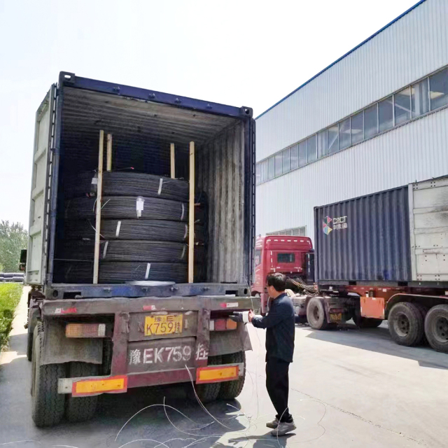 20/1020/C22E/C22/S20C Carbon Steel Wire