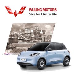 Wuling Business Proposal