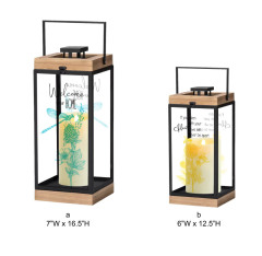 Dragonfly Outdoor Lantern