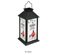 Bird Outdoor Lantern