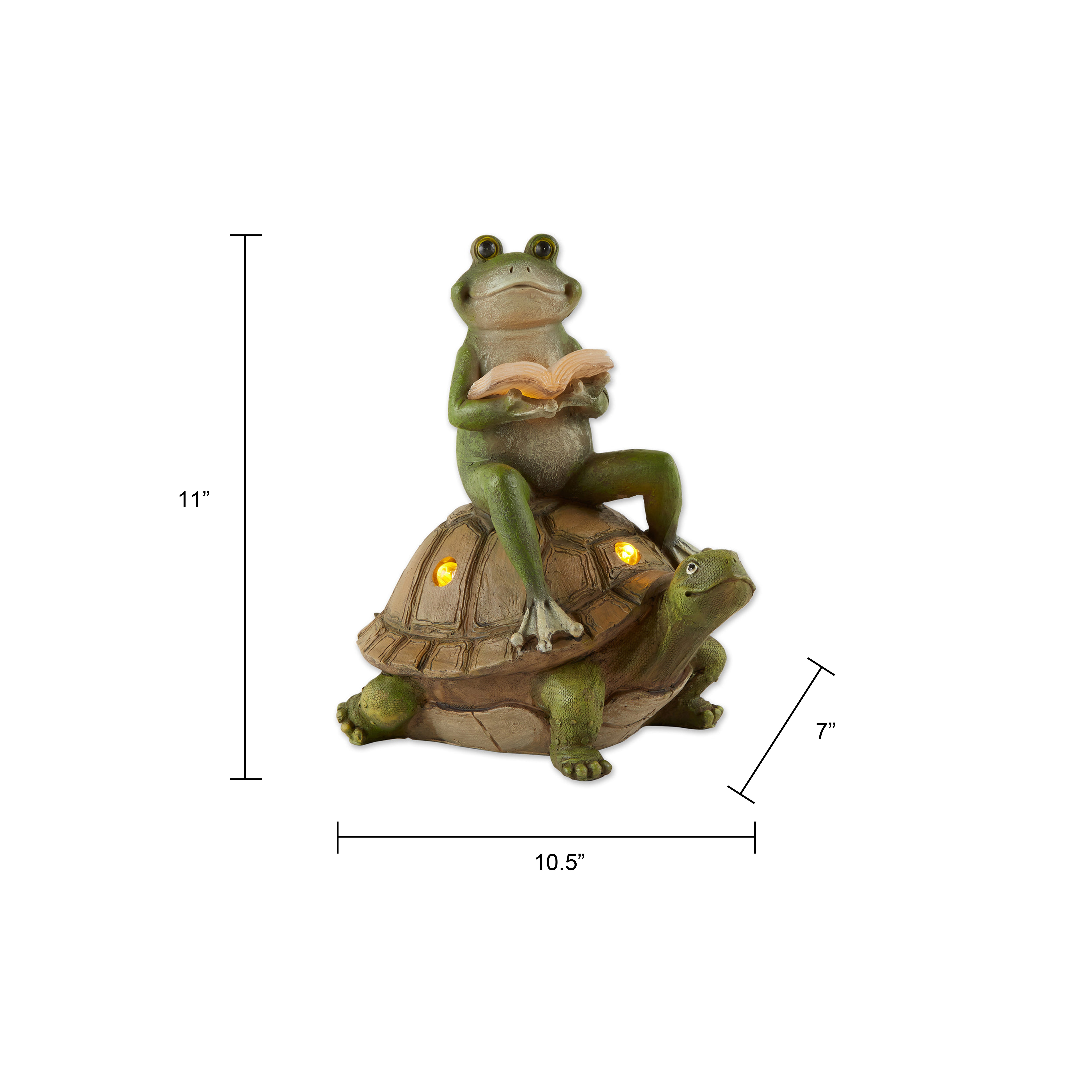 Frog Sit On Turtle Statue With Light