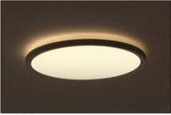 Ultra Slim Ceiling Light