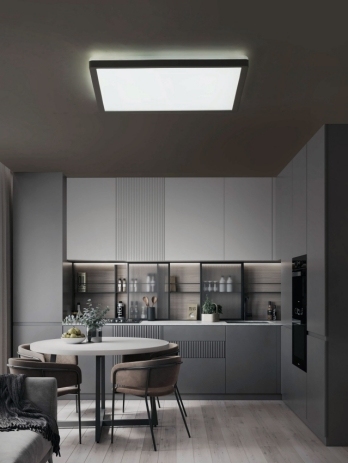 ULTRA SLIM CEILING LIGHT