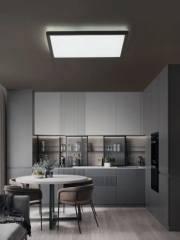 ULTRA SLIM CEILING LIGHT