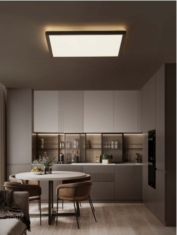 ULTRA SLIM CEILING LIGHT