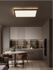 ULTRA SLIM CEILING LIGHT