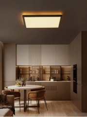ULTRA SLIM CEILING LIGHT