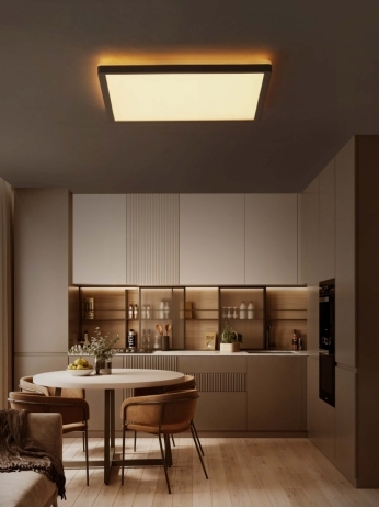 ULTRA SLIM CEILING LIGHT