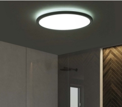 ULTRA SLIM CEILING LIGHT