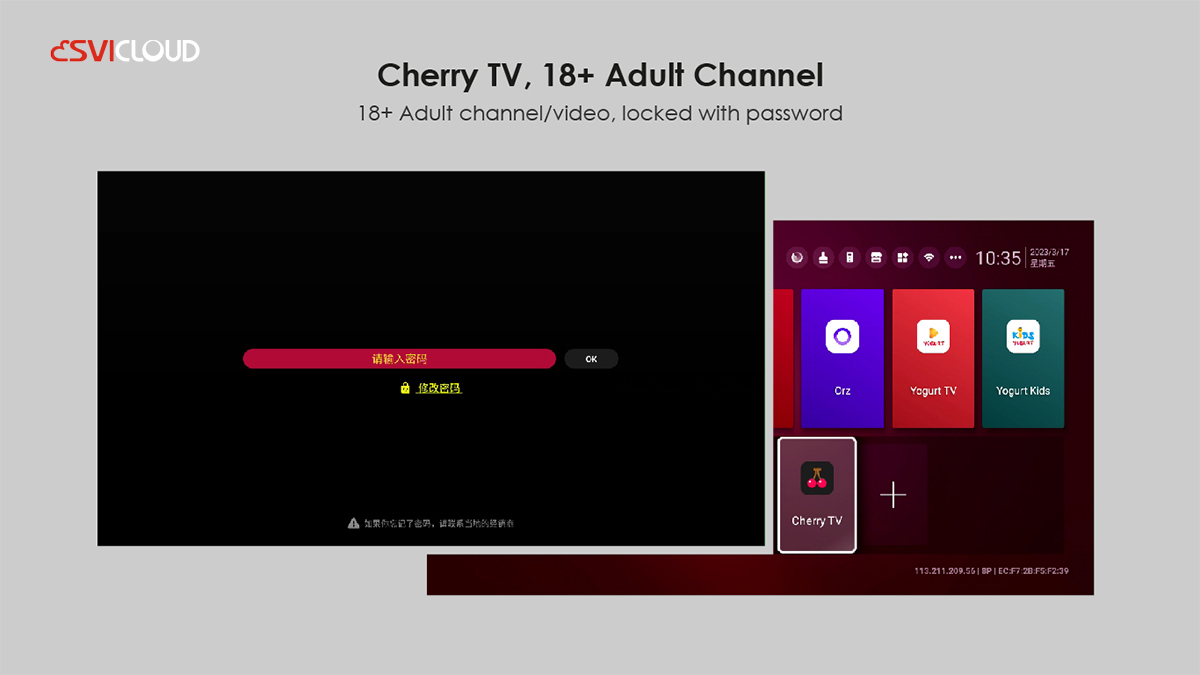 SVICLOUD 10S TV Box - 2025年新発売|最高の価値を提供する高性能モデル