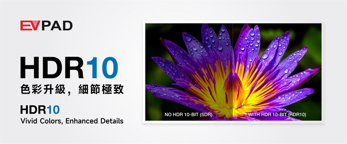 EVPAD 12S 2026 スマートTVボックス | コンパクトなデザインと8Kパフォーマンスを手頃な価格で実現