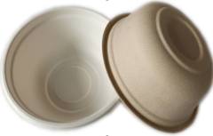 16OZ  sugarcane Bowl