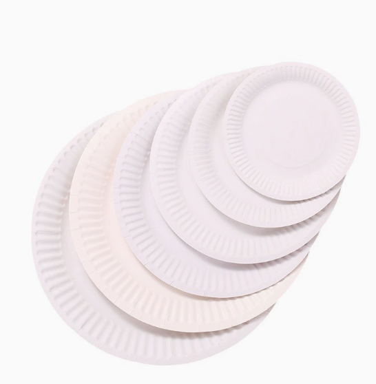 5 inch white paper plate