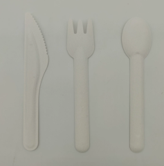 160x17X2.8mm disposable sugarcane residue  Knives forks spoons