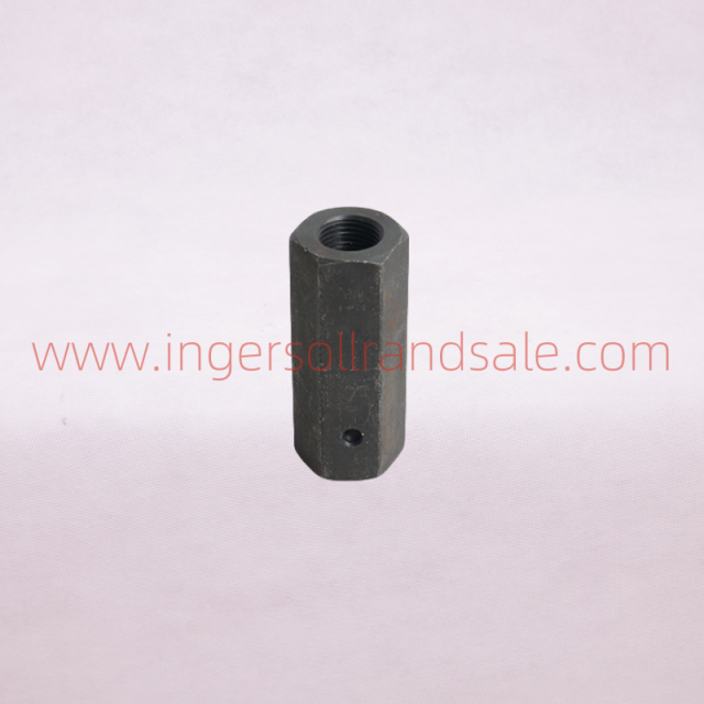 32162943 Genuine Check Valve for Ingersoll Rand High Pressure Piston Machines