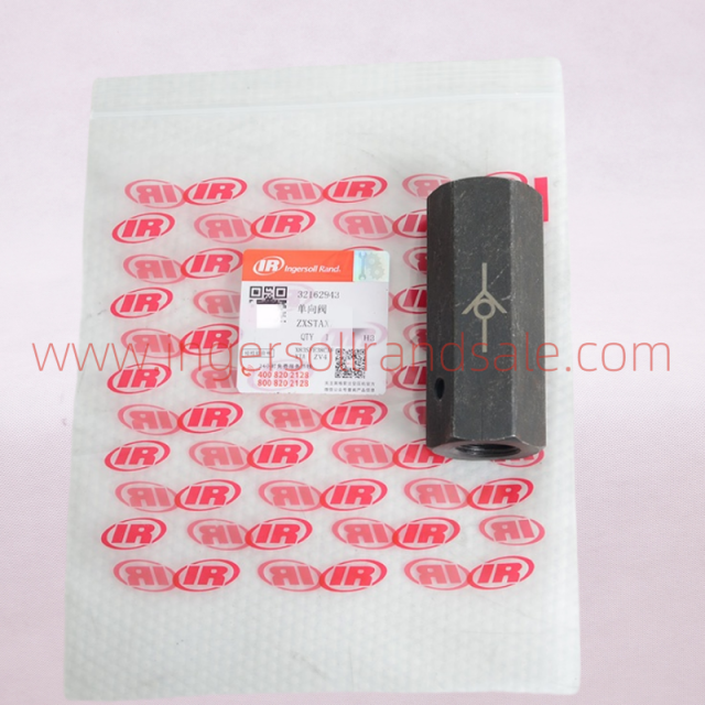 32162943 Genuine Check Valve for Ingersoll Rand High Pressure Piston Machines