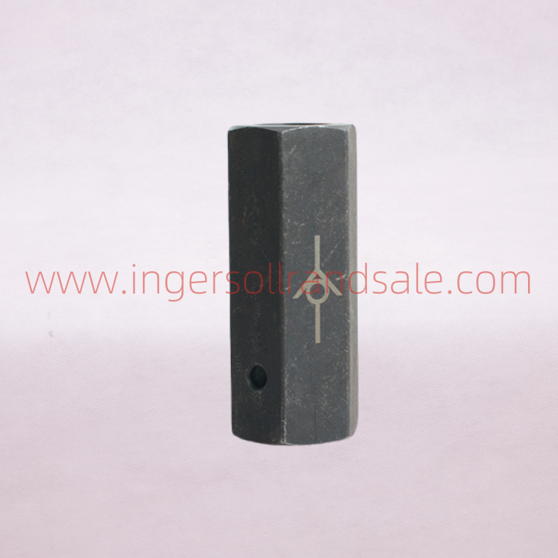 32162943 Genuine Check Valve for Ingersoll Rand High Pressure Piston Machines