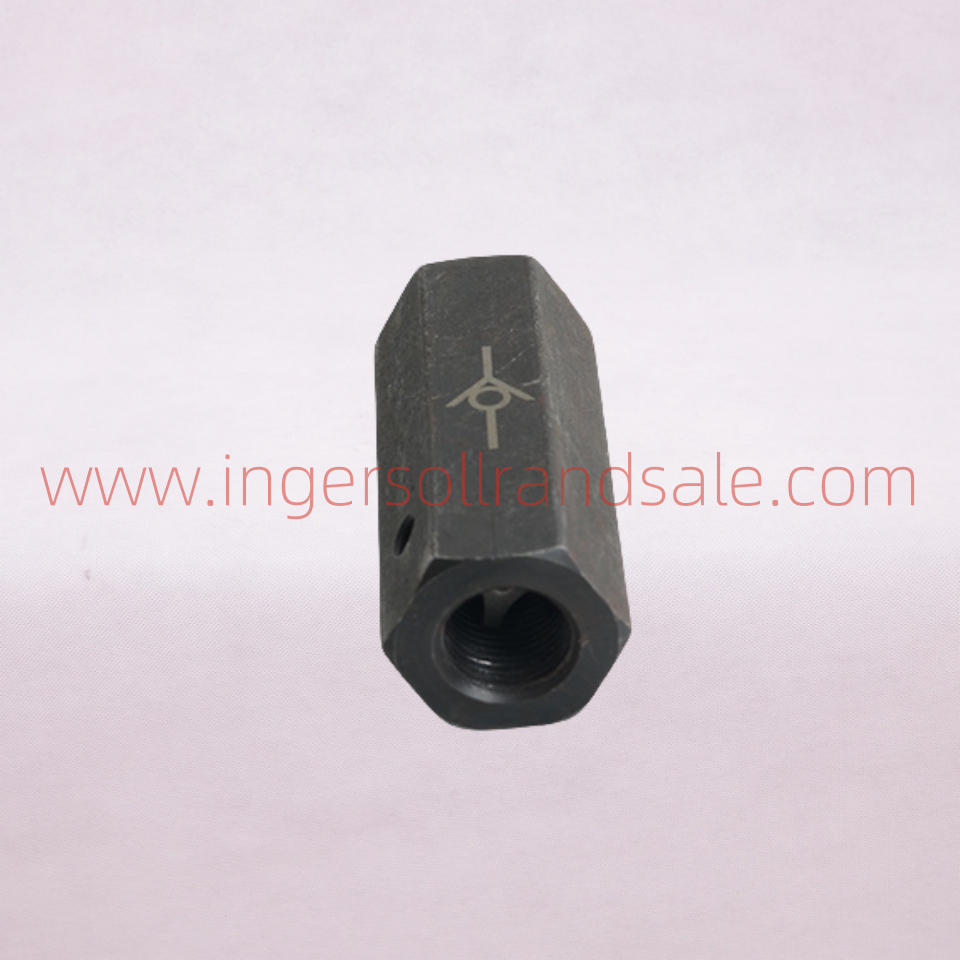 32162943 Genuine Check Valve for Ingersoll Rand High Pressure Piston Machines