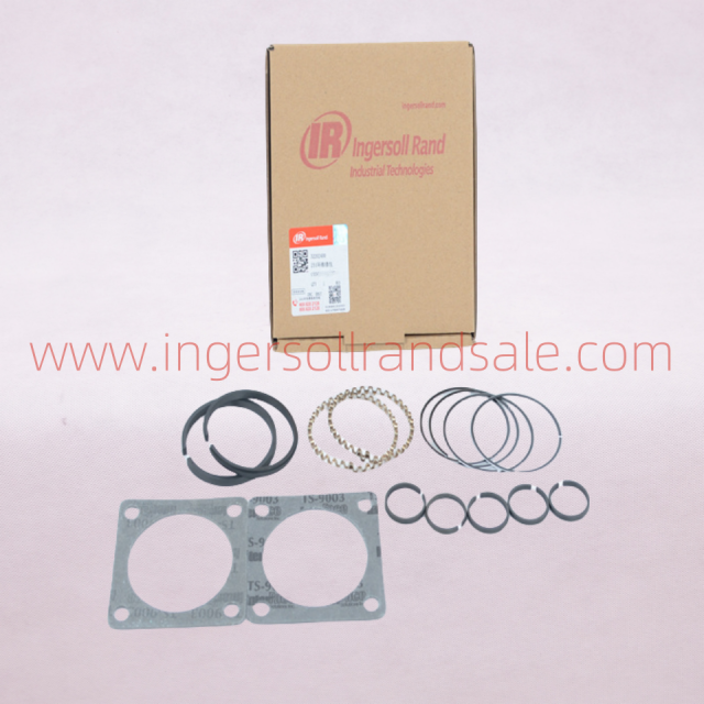 32202400 Ingersoll Rand Screw Air Compressor Genuine Parts 231 Ring Repair Kit