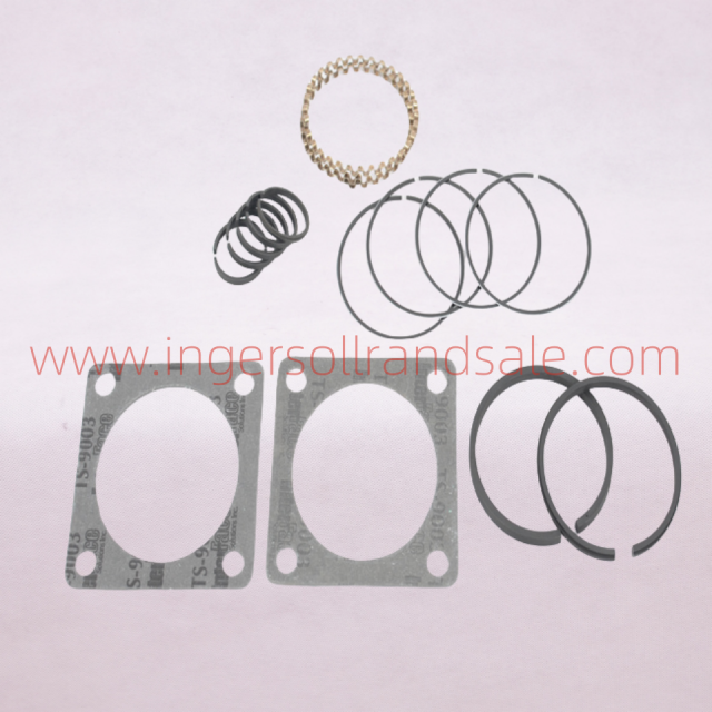32202400 Ingersoll Rand Screw Air Compressor Genuine Parts 231 Ring Repair Kit