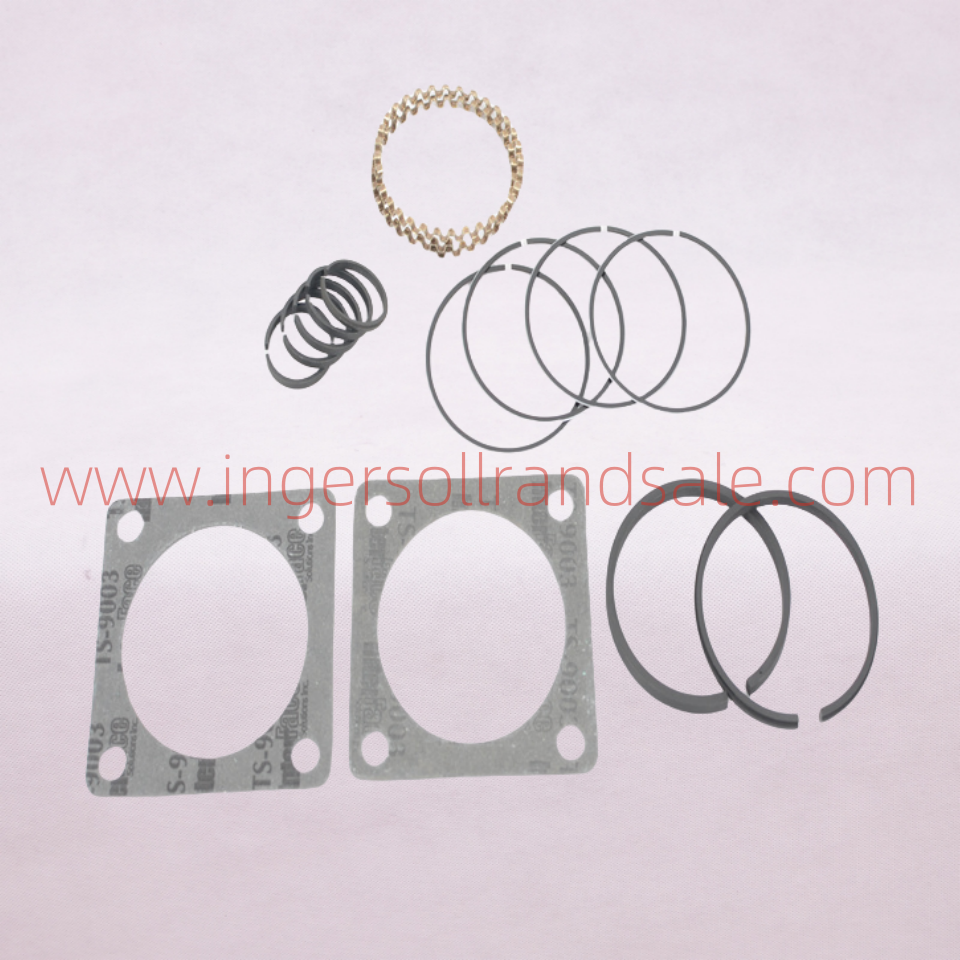32202400 Ingersoll Rand Screw Air Compressor Genuine Parts 231 Ring Repair Kit