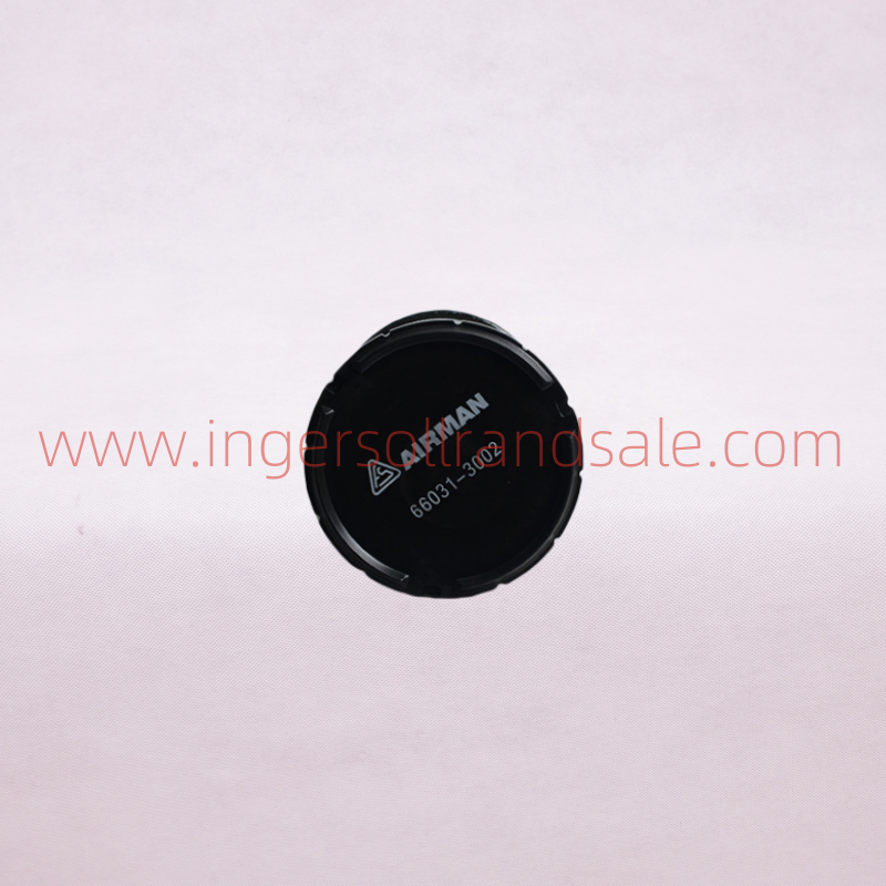 66031-3002 Fusheng Airman Mobile Air Compressor Genuine Parts Air Filter