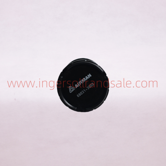 66031-3002 Fusheng Airman Mobile Air Compressor Genuine Parts Air Filter
