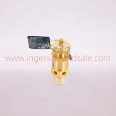31385511=47613554011 Ingersoll Rand Genuine Air Compressor Parts Safety Valve GB 1/4 “NPT 5.52MP