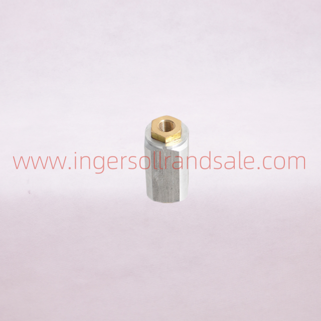 99331670 Ingersoll Rand Screw Air Compressor Genuine Parts Check Valve