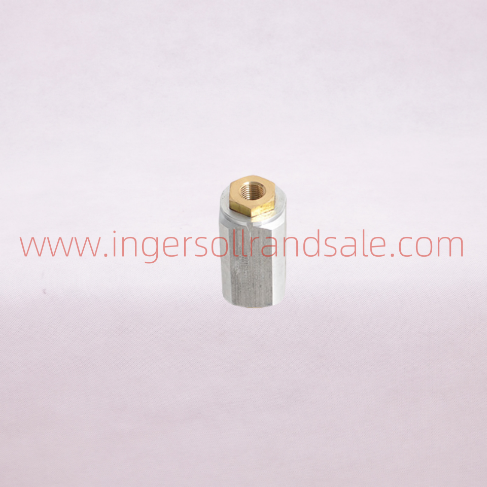 99331670 Ingersoll Rand Screw Air Compressor Genuine Parts Check Valve