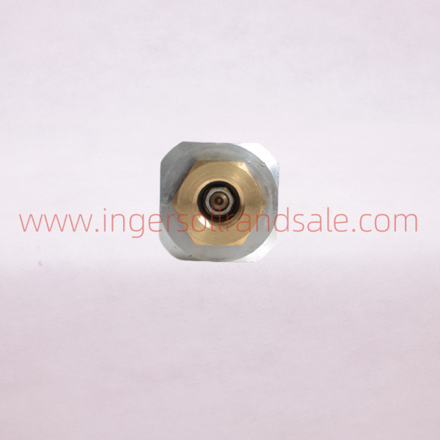 99331670 Ingersoll Rand Screw Air Compressor Genuine Parts Check Valve