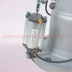 47828483001 Ingersoll Rand Screw Air Compressor Genuine Parts Inlet Valve S120CV