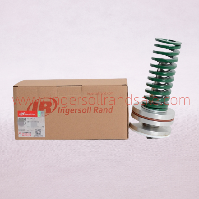 QX104817R Ingersoll Rand Gardner Denver Screw Air Compressor Genuine Parts Minimum Pressure Valve Repair Kit