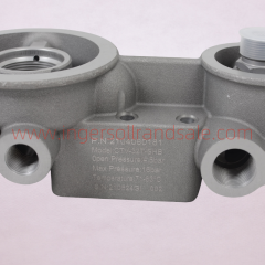 2104080181 Fusheng Screw Air Compressor Genuine Parts Combination Valve