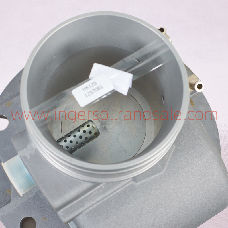 1257081 Hoerbiger Air Compressor OEM Parts Inlet Valve HK120