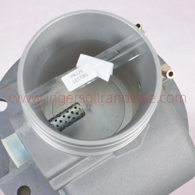 1257081 Hoerbiger Air Compressor OEM Parts Inlet Valve HK120