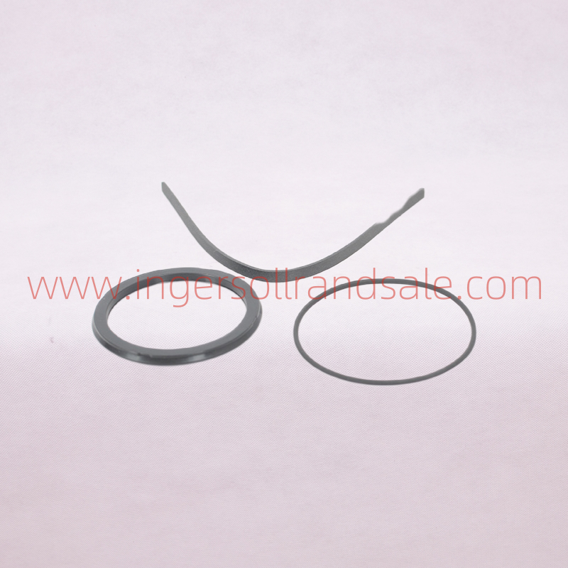 1298305 Hoerbiger Air Compressor OEM Parts PBED Cylinder Repair Kit