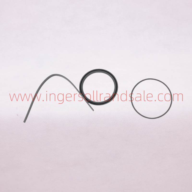 1298305 Hoerbiger Air Compressor OEM Parts PBED Cylinder Repair Kit