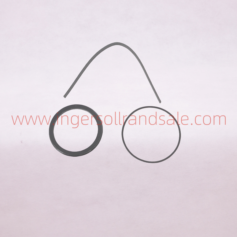1298305 Hoerbiger Air Compressor OEM Parts PBED Cylinder Repair Kit